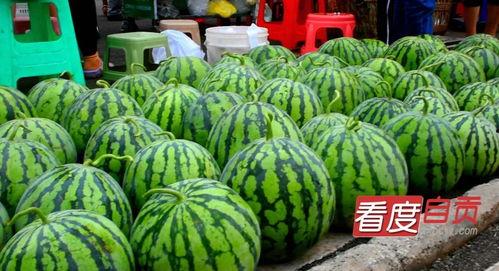 自贡网红吃瓜事件,一场网络狂欢背后的真相揭秘